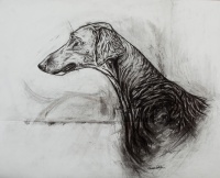 Visions West Gallery :: Bruce :: Kinny