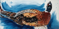 Visions West Gallery :: Bruce :: Pheasant with Blue