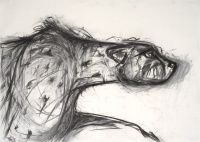 Visions West Gallery :: Bruce :: Cheetah