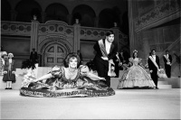 Visions West Gallery :: Bruce :: Debutantes The Curtsey