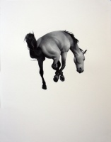 Visions West Gallery :: Bruce :: Oh Sun How I Miss You