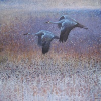 Visions West Gallery :: Bruce :: Two Sandhill Cranes