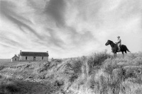 Visions West Gallery :: Bruce :: Watt Matthews Stone Ranch