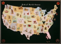 Visions West Gallery :: Bruce :: Birds of North America