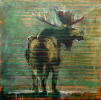 Visions West Gallery :: Bruce :: AP 07-5376