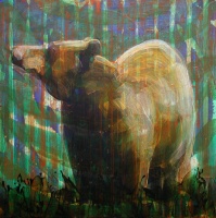 Visions West Gallery :: Bruce :: AP 07-5377