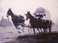 Visions West Gallery :: Bruce :: Mule Team