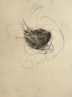 Visions West Gallery :: Bruce :: Horse Hair Nest