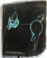 Visions West Gallery :: Bruce :: Black Javelina