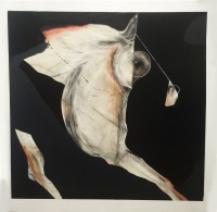 Visions West Gallery :: Bruce :: Ghost Horse 2