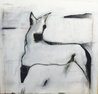 Visions West Gallery :: Bruce :: Ghost Horse 4