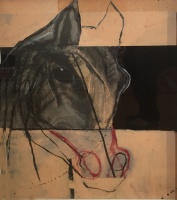 Visions West Gallery :: Bruce :: Out of the Shadows