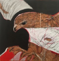 Visions West Gallery :: Bruce :: Red Hawk