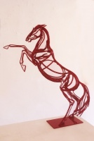 Visions West Gallery :: Bruce :: Red Horse