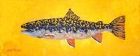 Visions West Gallery :: Bruce :: Brook Trout 