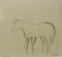 Visions West Gallery :: Bruce :: Shoshone Horse Dr 11