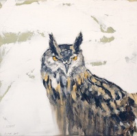 Visions West Gallery :: Bruce :: Owl
