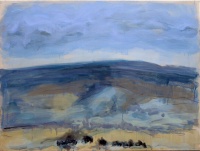 Visions West Gallery :: Bruce :: Horseshoe Hill Angus Drawing #6