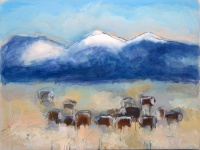 Visions West Gallery :: Bruce :: Bayers Herefords Dr. #2