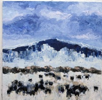 Visions West Gallery :: Bruce :: Beaverhead Angus #18