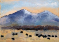 Visions West Gallery :: Bruce :: Beaverhead Angus Dr. #10