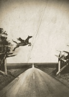 Visions West Gallery :: Bruce :: How the West Was Won No. 20