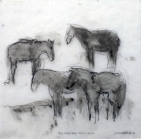 Visions West Gallery :: Bruce :: Bob Marshall Horses Dr. #3