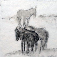 Visions West Gallery :: Bruce :: Bob Marshall Mules Dr. #2