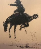 Visions West Gallery :: Bruce :: Dot Bronco