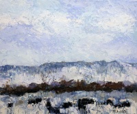 Visions West Gallery :: Bruce :: Twin Bridges Angus 7