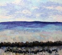 Visions West Gallery :: Bruce :: Twin Bridges Angus 9