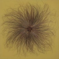 Visions West Gallery :: Bruce :: Sunspot 2