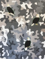 Visions West Gallery :: Bruce :: Eagles and Camouflage 