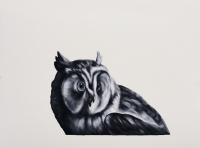 Visions West Gallery :: Bruce :: Owl (after Duranti)