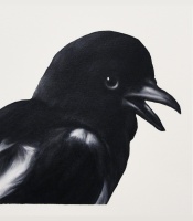 Visions West Gallery :: Bruce :: Magpie (after Hondecoeter)
