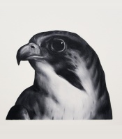 Visions West Gallery :: Bruce :: Falcon (after Landseer)