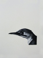 Visions West Gallery :: Bruce :: Bird (after Duranti)