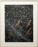 Visions West Gallery :: Bruce :: Guided by the Stars