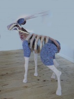 Visions West Gallery :: Bruce :: Saola