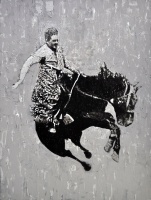 Visions West Gallery :: Bruce :: Steamboat Twisted