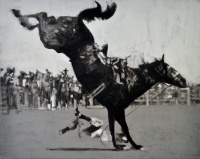 Visions West Gallery :: Bruce :: Midnight at Noon