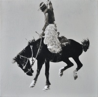 Visions West Gallery :: Bruce :: Hanging Fire