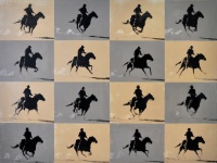 Visions West Gallery :: Bruce :: Persistence of Vision: Fugitive