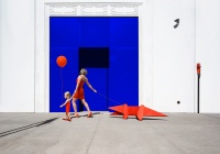 Visions West Gallery :: Bruce :: Crocodyle