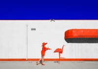 Visions West Gallery :: Bruce :: Flamengus