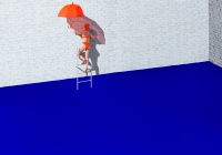 Visions West Gallery :: Bruce :: Skypool