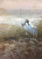 Visions West Gallery :: Bruce :: Preening Crane