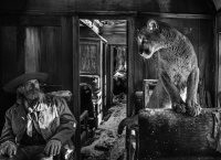 Visions West Gallery :: 1 hot-chicks David :: Economy