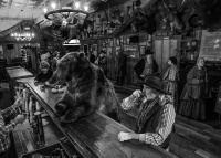 Visions West Gallery :: 1 hot-chicks David :: I've Got One....A Bear Walks Into a Bar
