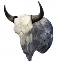 Visions West Gallery :: Bruce :: Buffalo II